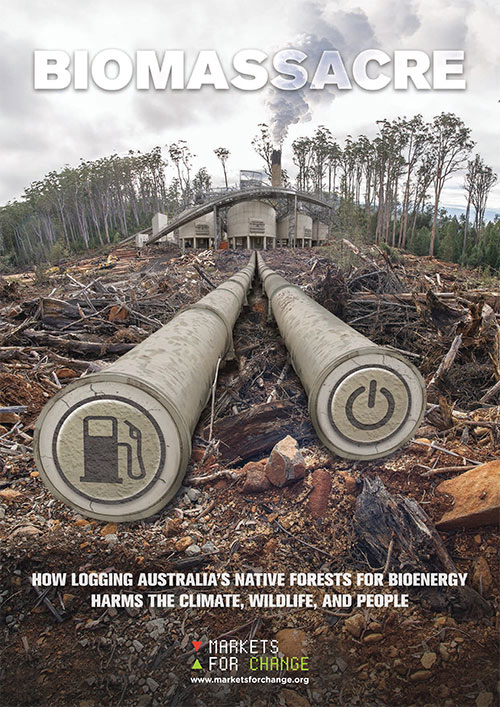 Biofuel a threat to our native forests