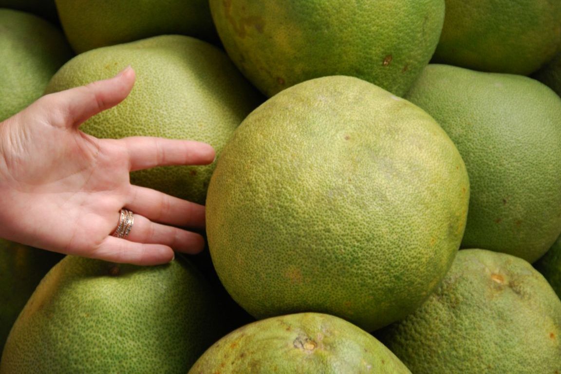 All hail the Pomelo