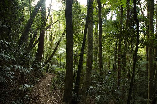 National Parks or Recreational Parks?