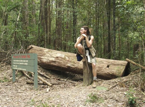 Jaye’s art follows nature