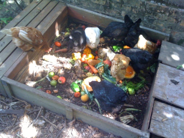 Your waste is my food