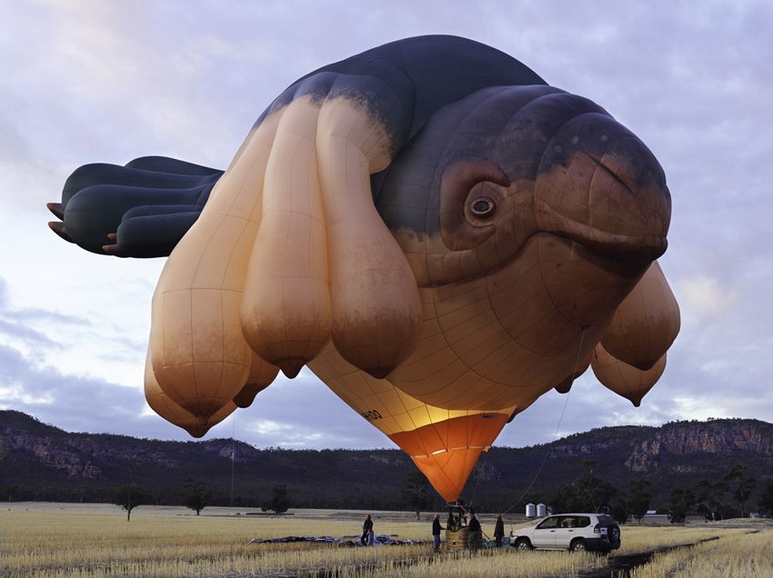 Coming soon to a sky near you!