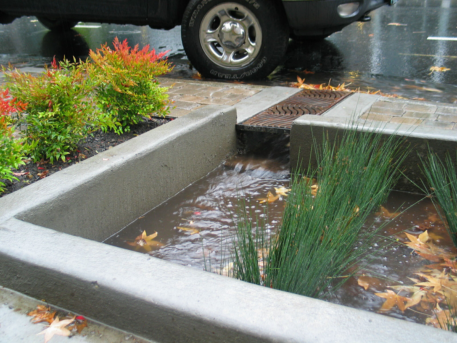 Parks cool cities and replenish groundwater