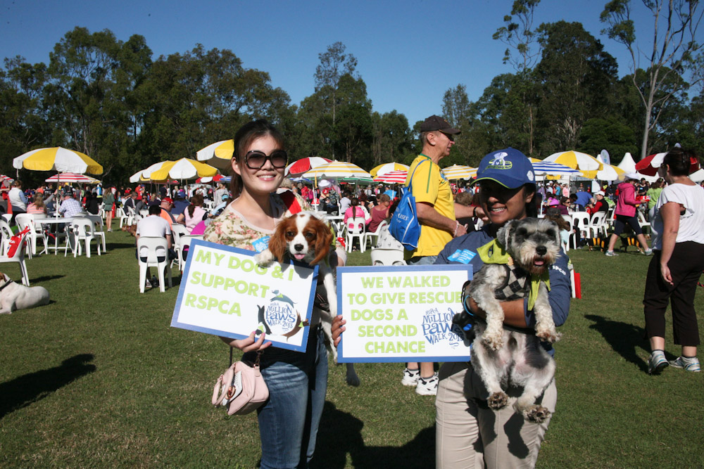 Australia’s quirkiest animal rescue calls