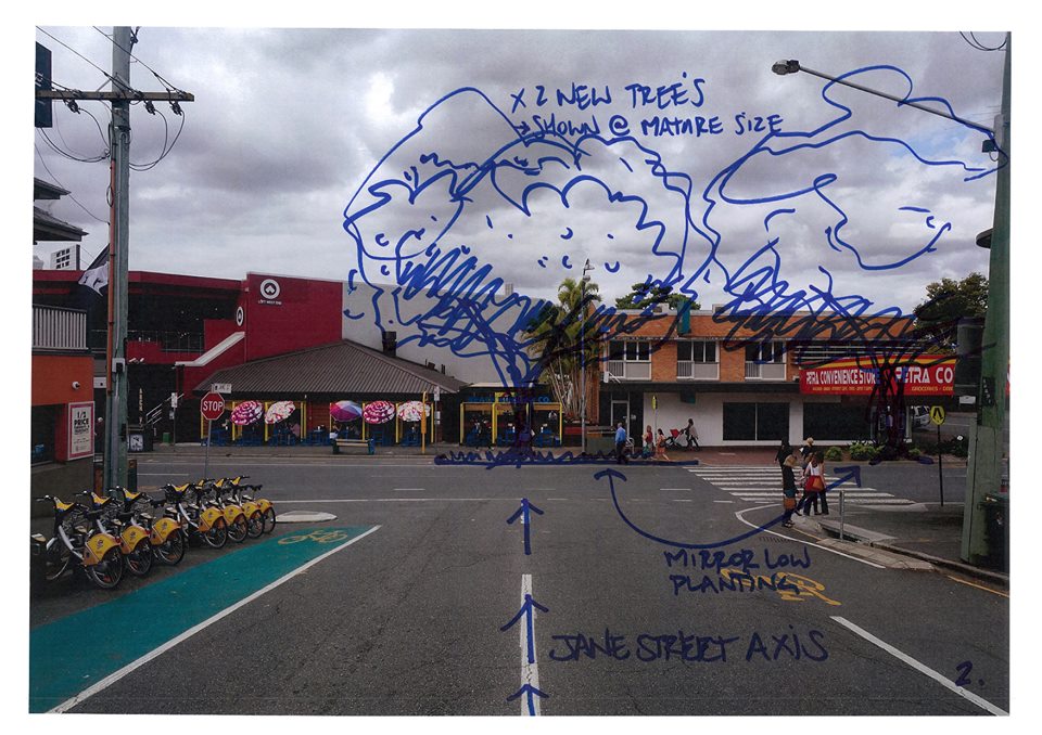 Council justifies tree disappearance