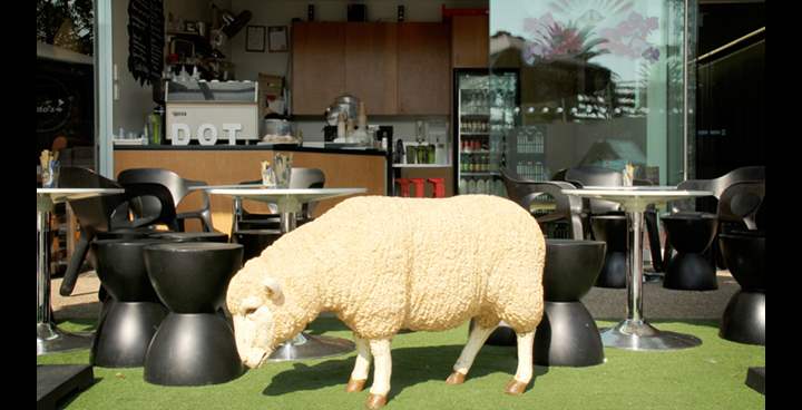 Southbank sheep rustler avoids Baas in no Ramification amnesty