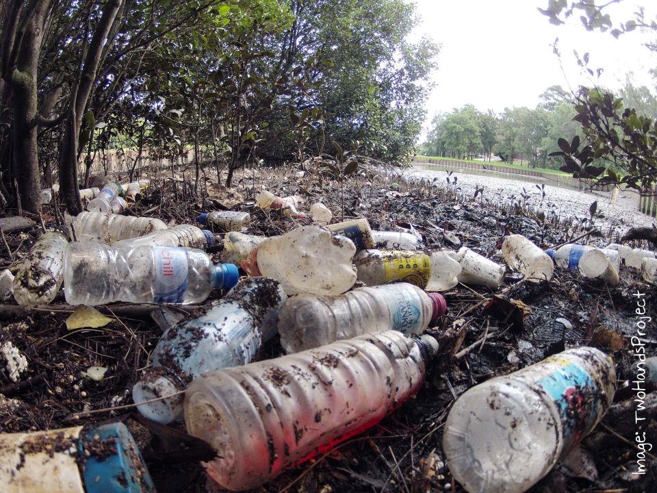 Plastic Pollution Getting Out Of Hand