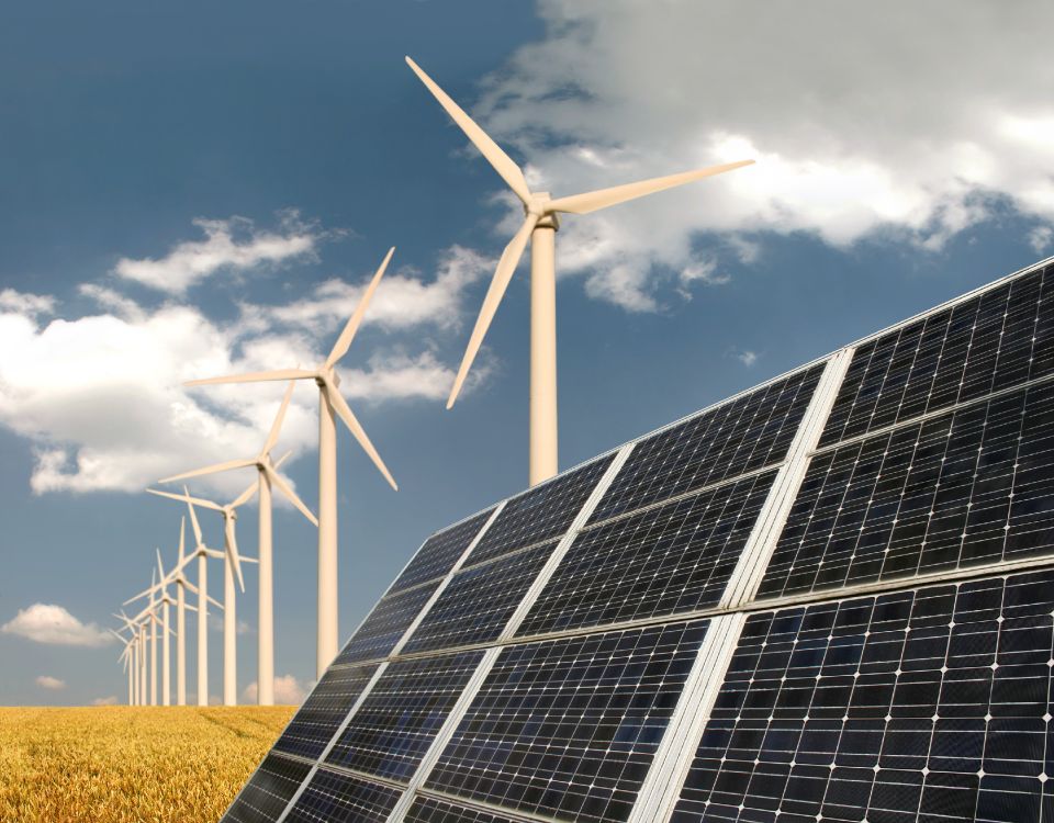 Leap into a renewable future this leap year