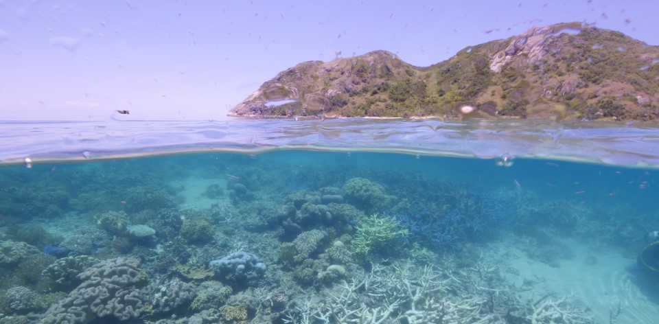 Reef bleaching and #climatechange link explained – The Conversation EDO