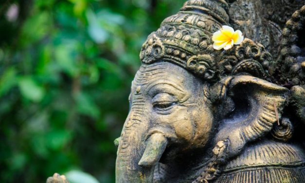 Ganesha gone from yoga leggings