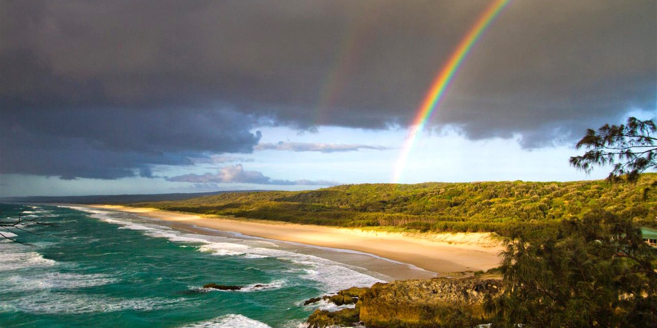 Upcoming exhibition showcases wonders of Minjerribah