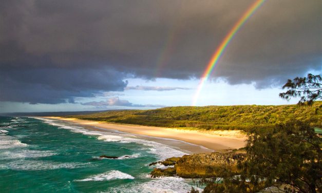 Upcoming exhibition showcases wonders of Minjerribah