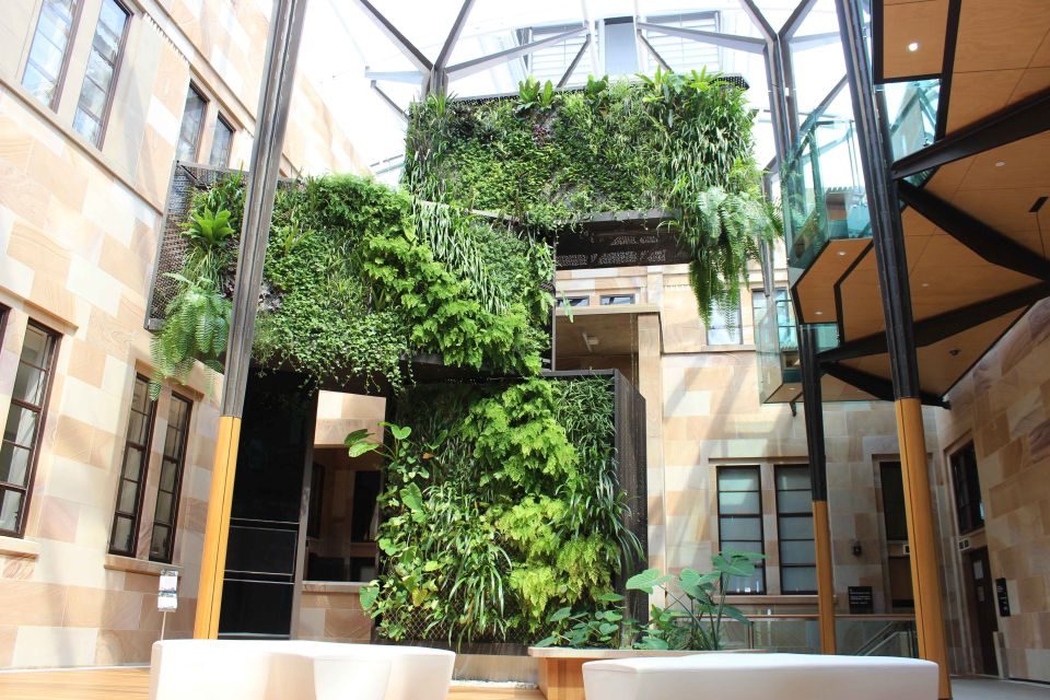 Green walls add to learning outcomes