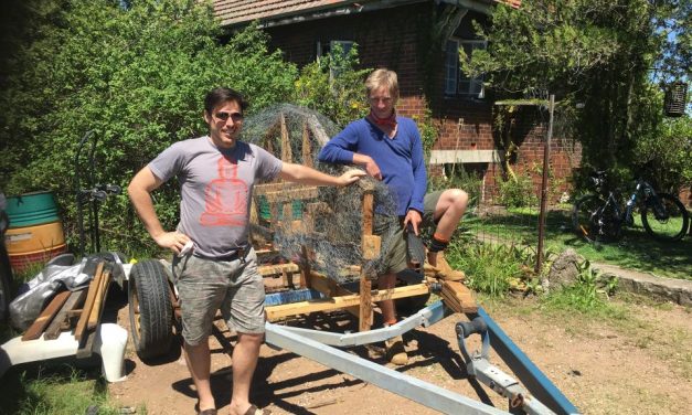 5 m water rat for Kurilpa Derby