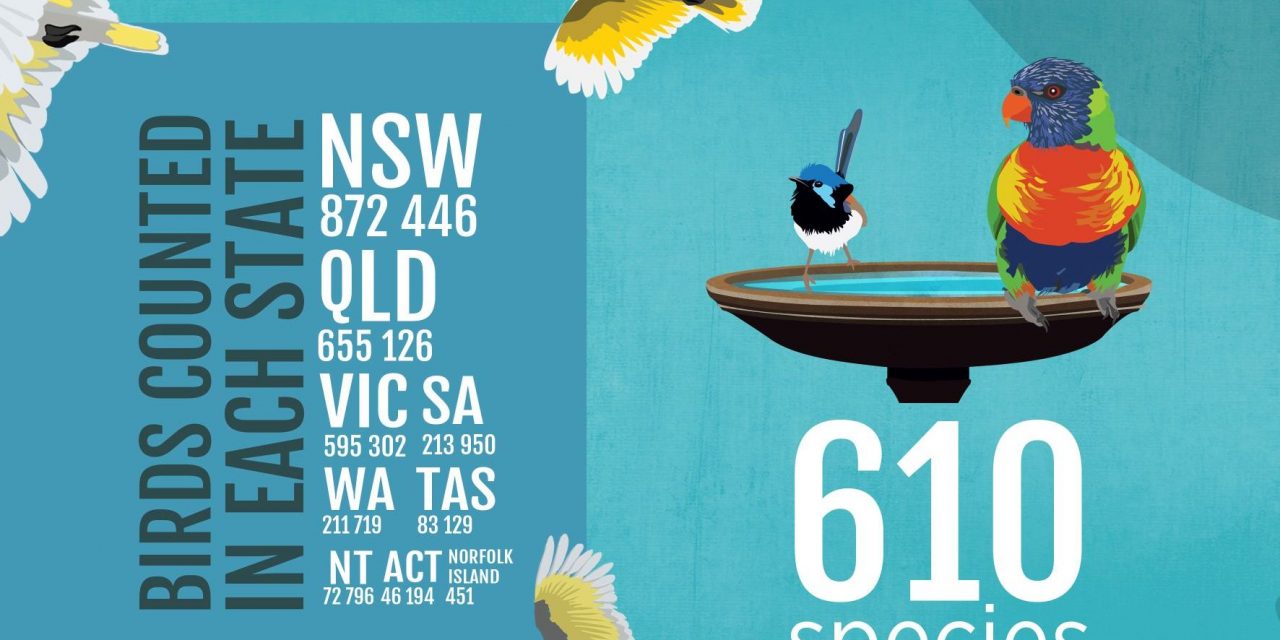 2018 Aussie Backyard Bird Count Results