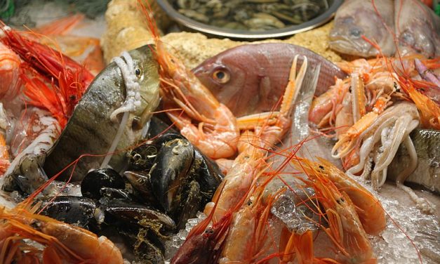Make your seafood feast sustainable this Christmas