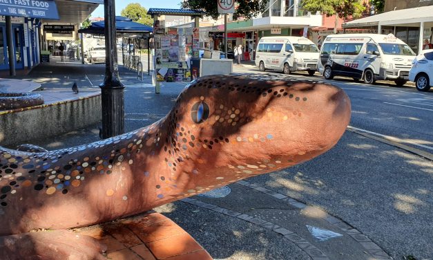 Public Places: Contested Spaces – Who decides what next for Boundary Street?