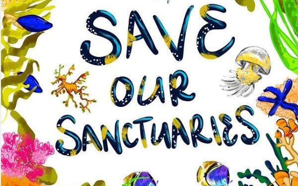 Labor changes to environmental law welcome – AMCS
