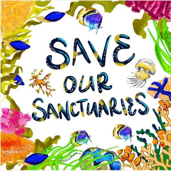 Labor changes to environmental law welcome – AMCS