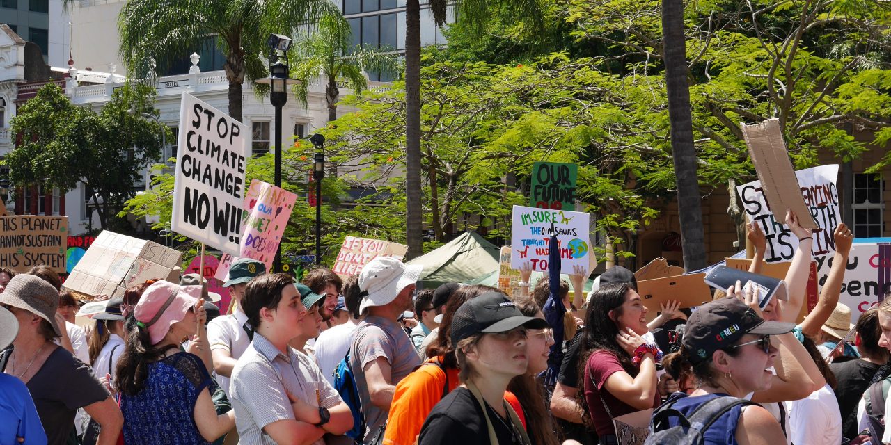After the Election: what next for activists? A conversation with Winnifred Louis