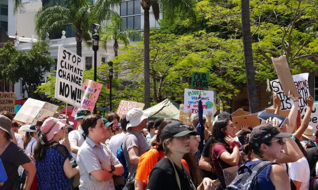 After the Election: what next for activists? A conversation with Winnifred Louis