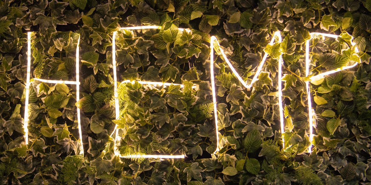 A Conversation about Medical Cannabis 