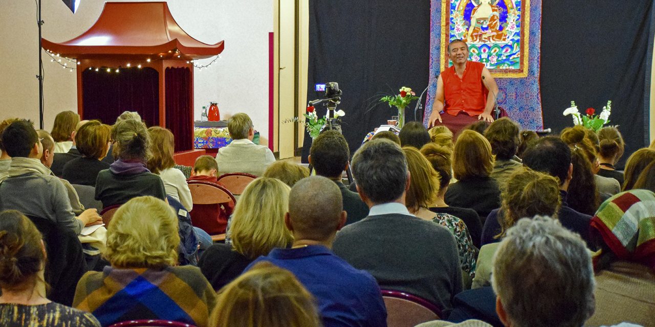 Need to slow down and de-stress but don’t know how? This Tibetan Lama may have some answers.