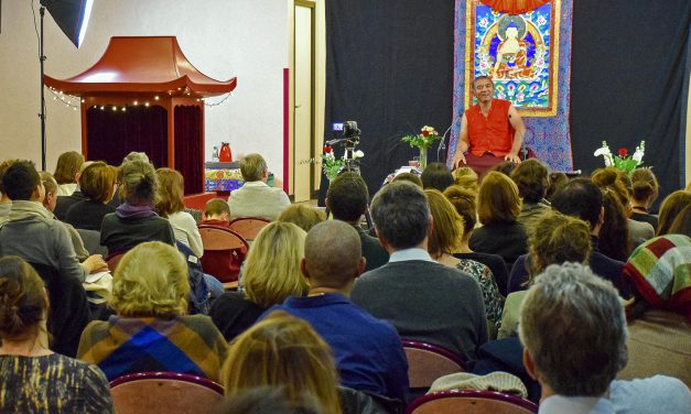 Need to slow down and de-stress but don’t know how? This Tibetan Lama may have some answers.