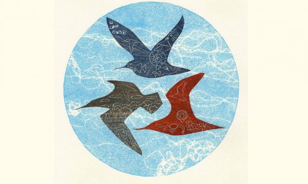 Overwintering – when shorebirds come to visit