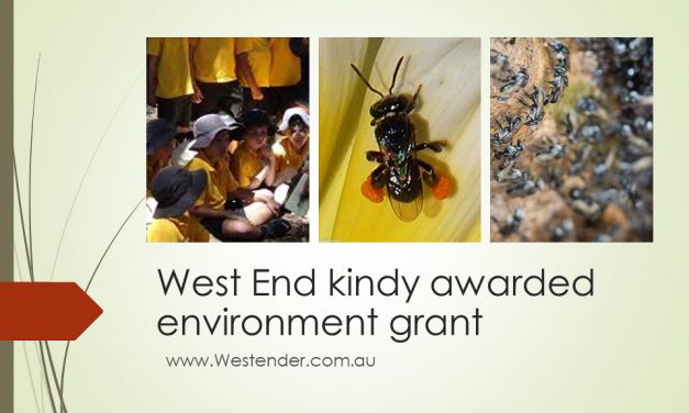 West End kindy awarded environment grant