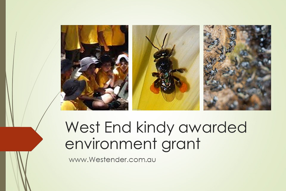 West End kindy awarded environment grant