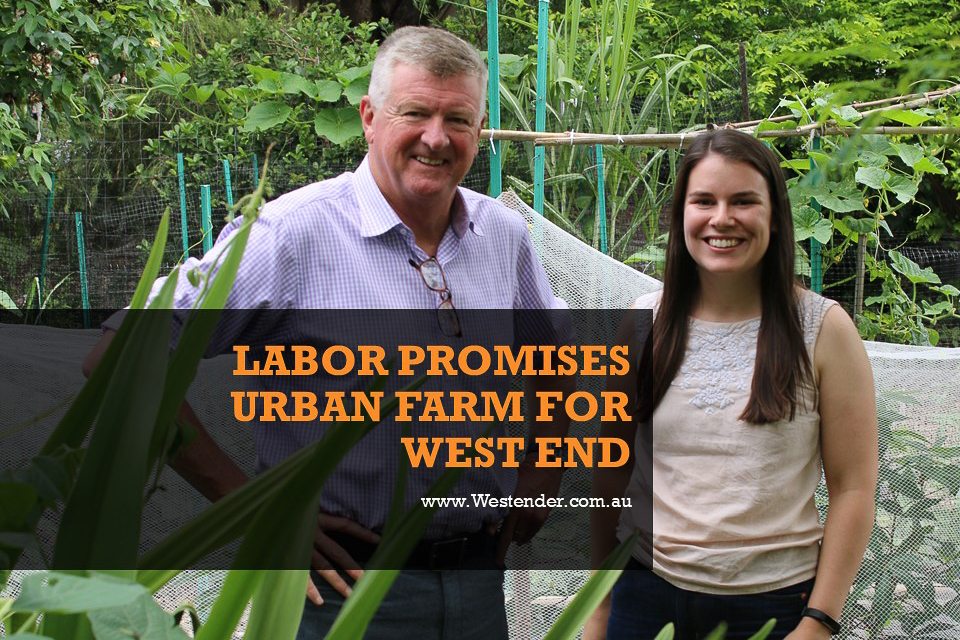 Labor promises urban farm for West End
