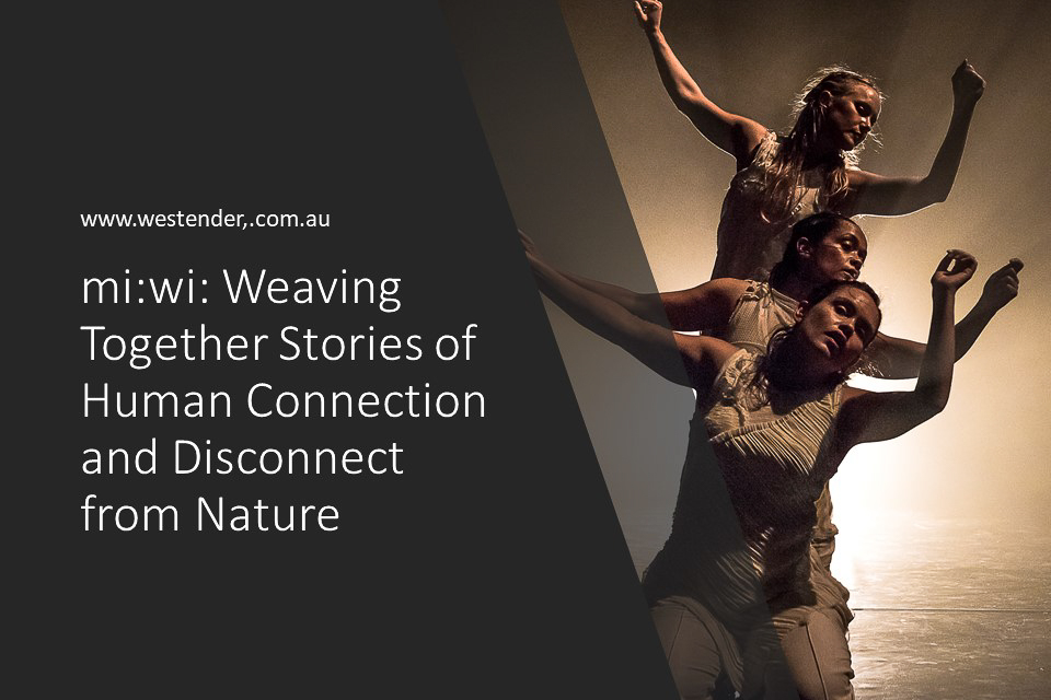 mi:wi: Weaving Together Stories of Human Connection and Disconnect from Nature