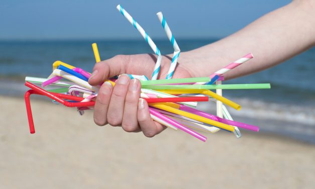 Have your say on the future of single-use plastics