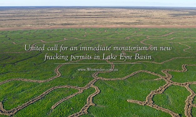 United call for an immediate moratorium on new fracking permits in Lake Eyre Basin
