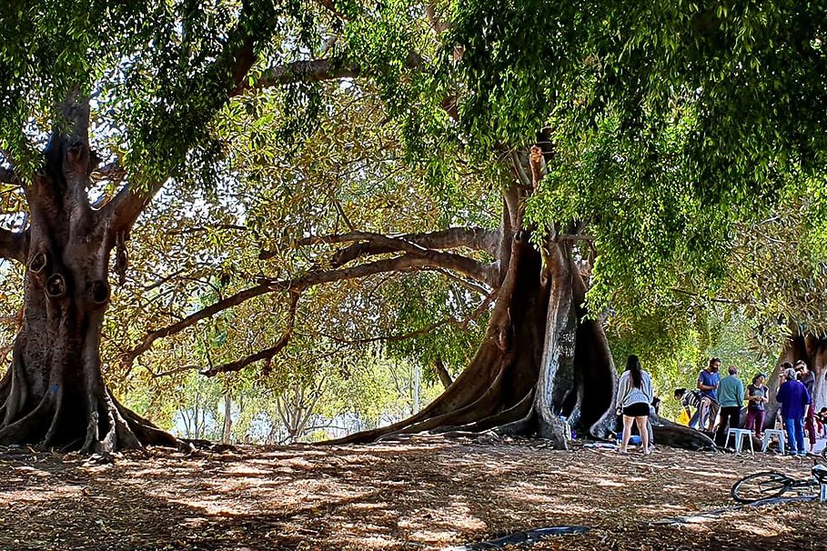 Community Spaces for Community Life