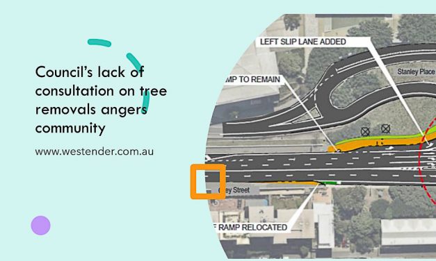 Council’s lack of consultation on tree removals angers community