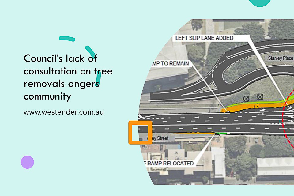 Council’s lack of consultation on tree removals angers community