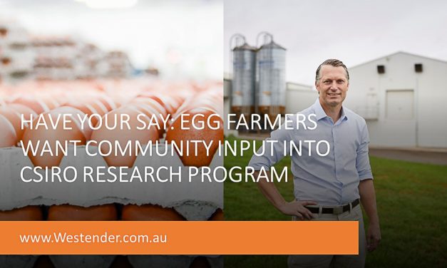 Have your say: egg farmers want community input into CSIRO research program