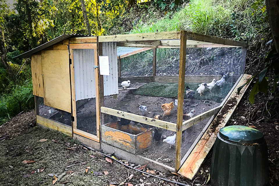 Community Chicken Coop