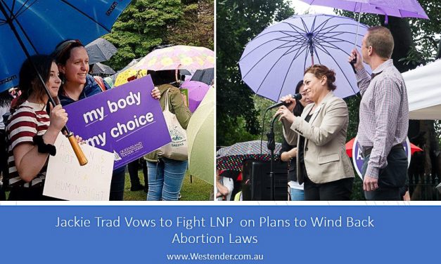 Jackie Trad Vows to Fight LNP  on Plans to Wind Back Abortion Laws