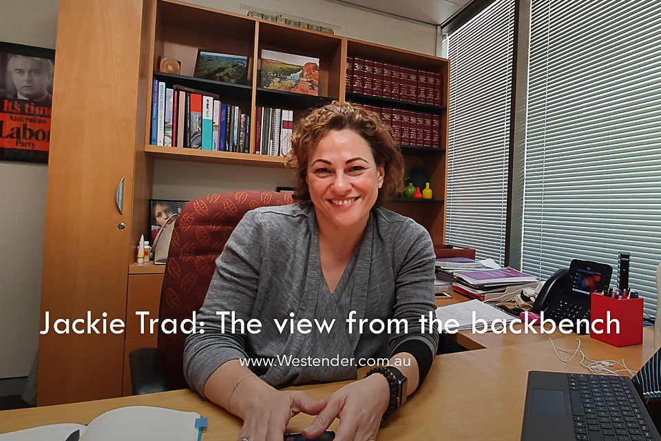 Jackie Trad –  the view from the backbench