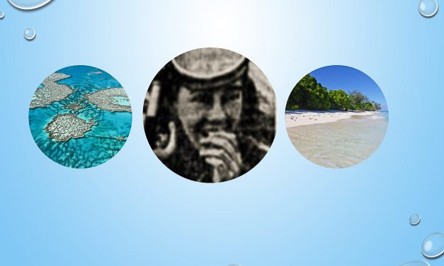 Search for mysterious ‘nature girl’ captures memory awards fellowship