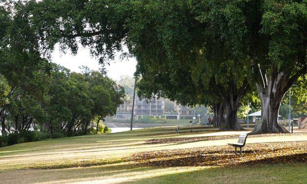 The Origins of Orleigh Park by Paul Granville