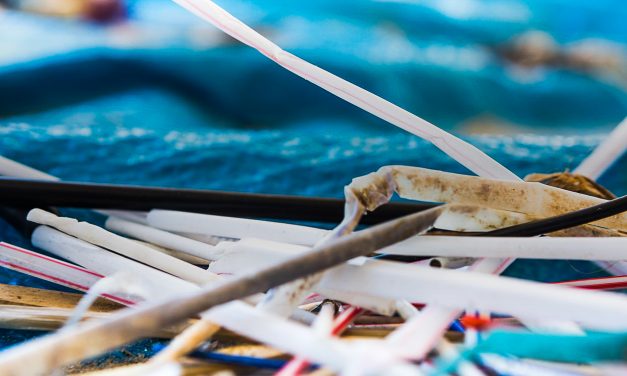 Queensland ban on single-use plastics introduced in time for Plastic Free July