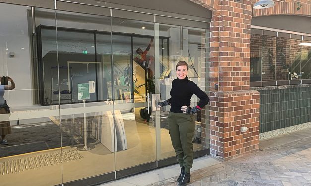 Metro Arts to open soon at West Village