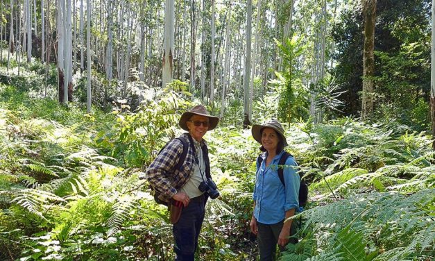 Landholders call on Queensland Government to increase funding for nature refuges