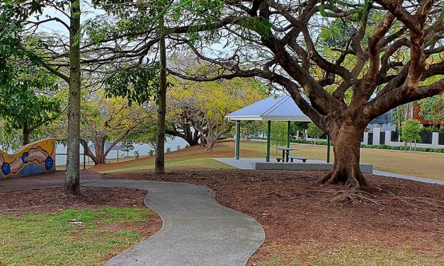 Council data shows Gabba Ward misses out on public greenspace, Councillor Sri