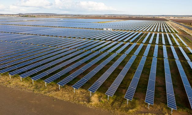 Publicly owned renewables drive Labor’s COVID-19 recovery plan