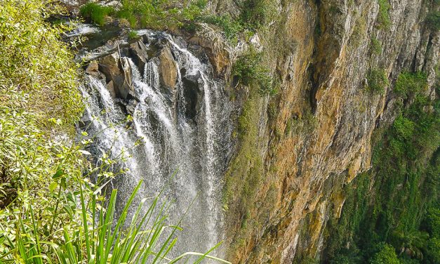 Queensland Protected Area Strategy a ‘strong foundation for nature’, say peak environmental groups
